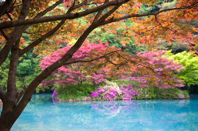 <a href='http://www.fwkvn.com.cn/hangzhou-lvyou/?from=b-keyword' target='_blank'><em>杭州</em></a>有个江南小九寨,阳春三月竟如深秋般绚烂