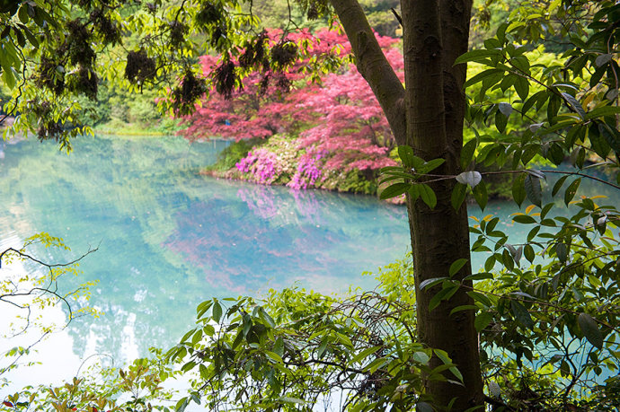 <a href='http://www.fwkvn.com.cn/hangzhou-lvyou/?from=b-keyword' target='_blank'><em>杭州</em></a>有个江南小九寨,阳春三月竟如深秋般绚烂