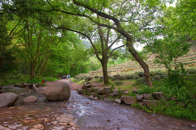 <a href='http://www.fwkvn.com.cn/hangzhou-lvyou/?from=b-keyword' target='_blank'><em>杭州</em></a>有个江南小九寨,阳春三月竟如深秋般绚烂