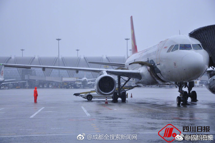 缇庡之流，在线视频资源探索与剧情解读