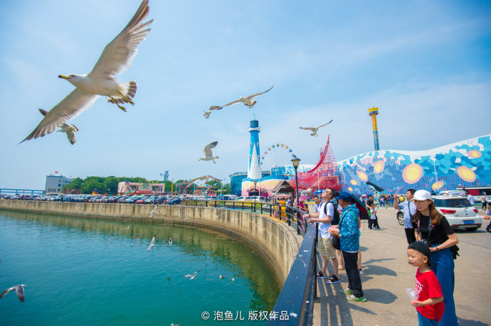 走进浪漫大连，探秘童趣海洋