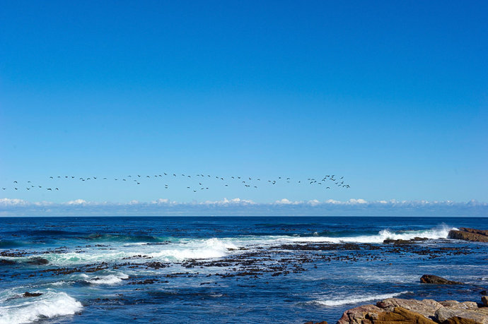 非洲最南的好望角，世界上最危险的海域却壮丽到极致
