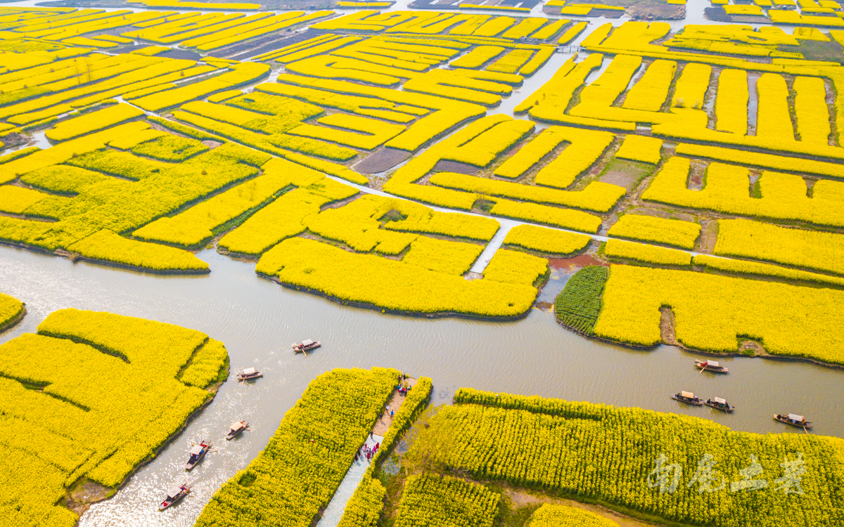 壮观，航拍全国最大的水上油菜花海