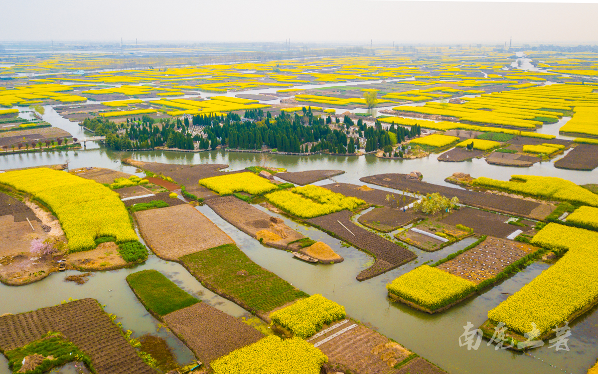 壮观，航拍全国最大的水上油菜花海