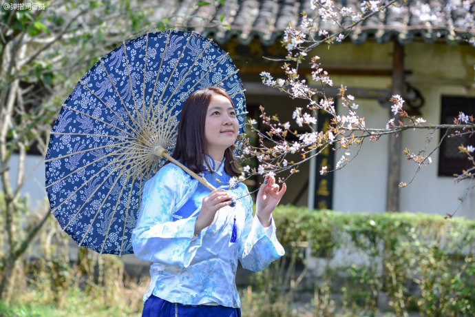 一棵老樟树守护<a href='http://travel-sina-com-cn.abcpastor.com/shangrao_wuyuan-lvyou/?from=b-keyword' target='_blank'>婺源</a><a href='http://travel-sina-com-cn.abcpastor.com/shangrao_yantian_13024-lvyou/?from=b-keyword' target='_blank'>严田</a>古村1600多年,如今成为该村旅游形象代言