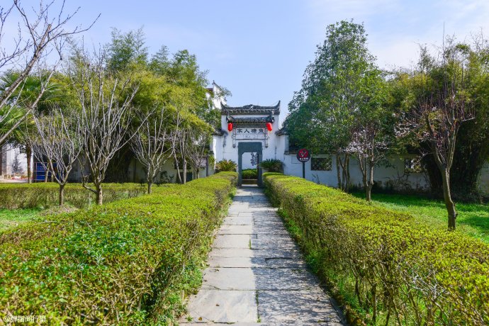 一棵老樟树守护<a href='http://travel-sina-com-cn.abcpastor.com/shangrao_wuyuan-lvyou/?from=b-keyword' target='_blank'>婺源</a><a href='http://travel-sina-com-cn.abcpastor.com/shangrao_yantian_13024-lvyou/?from=b-keyword' target='_blank'>严田</a>古村1600多年,如今成为该村旅游形象代言