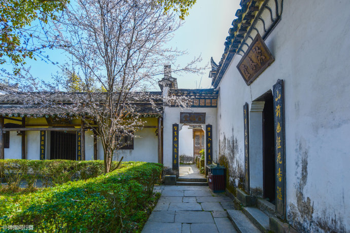 一棵老樟树守护<a href='http://travel-sina-com-cn.abcpastor.com/shangrao_wuyuan-lvyou/?from=b-keyword' target='_blank'>婺源</a><a href='http://travel-sina-com-cn.abcpastor.com/shangrao_yantian_13024-lvyou/?from=b-keyword' target='_blank'>严田</a>古村1600多年,如今成为该村旅游形象代言