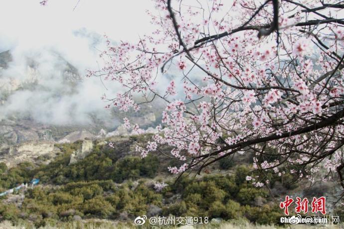 月子、临淄喝茶