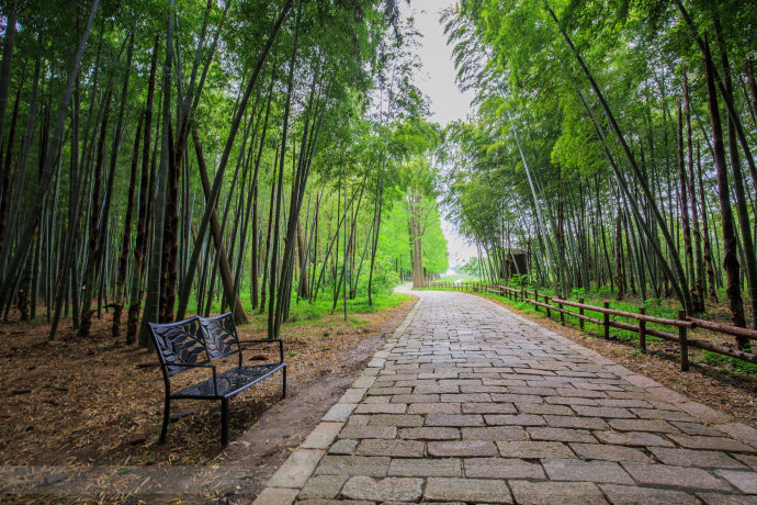 来同里的第二个理由 <wbr>99%的人并不知道