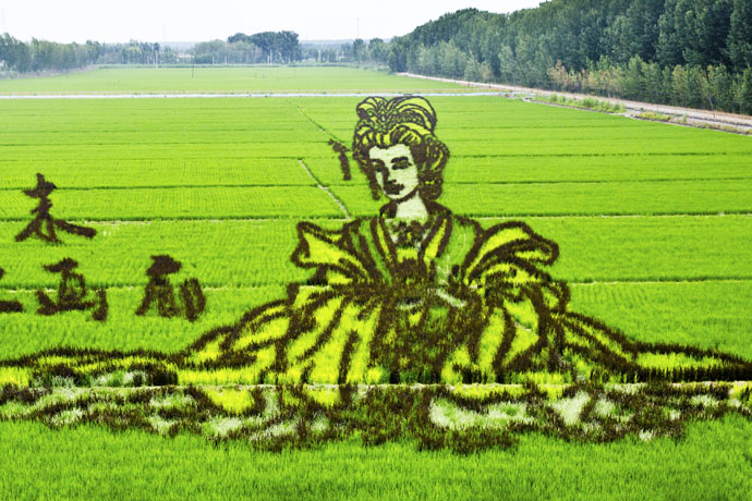 在稻田中“种”出来的艺术品