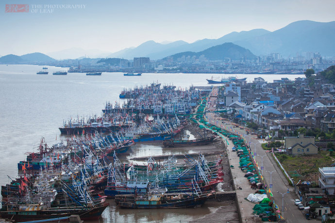 暑假旅游旺季遇到禁渔期,海鲜怎么吃有讲究