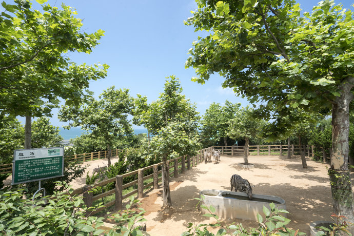 【<a href='http://travel.sina.com.cn/shandong-lvyou/?from=b-keyword' target='_blank'><em>山东</em></a><a href='http://travel.sina.com.cn/weihai-lvyou/?from=b-keyword' target='_blank'><em>威海</em></a>】邂逅醉美西霞口风情之旅