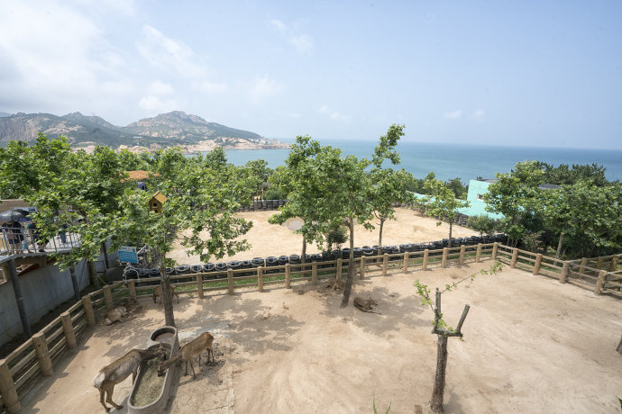 【<a href='http://travel.sina.com.cn/shandong-lvyou/?from=b-keyword' target='_blank'><em>山东</em></a><a href='http://travel.sina.com.cn/weihai-lvyou/?from=b-keyword' target='_blank'><em>威海</em></a>】邂逅醉美西霞口风情之旅