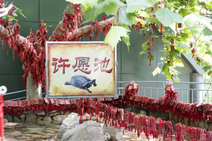 【<a href='http://travel.sina.com.cn/shandong-lvyou/?from=b-keyword' target='_blank'><em>山东</em></a><a href='http://travel.sina.com.cn/weihai-lvyou/?from=b-keyword' target='_blank'><em>威海</em></a>】邂逅醉美西霞口风情之旅