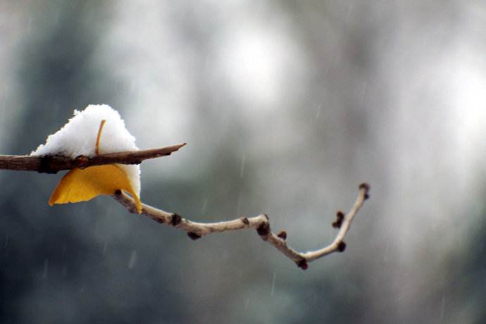 的唯美句子,描写小雪节气的优美句子精选