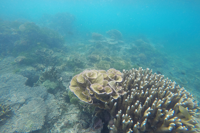 天生海岛度假胜地,印尼那些你不知道的精彩玩法