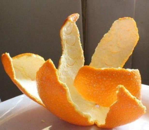橘子
