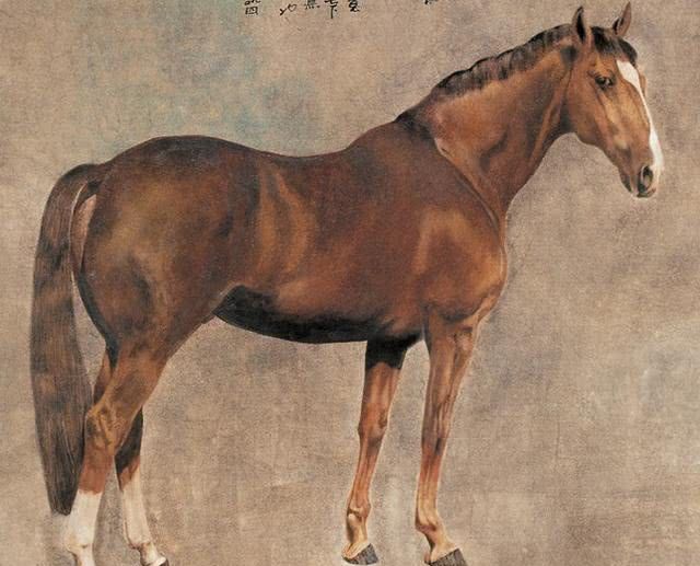 家有这5大生肖,猪年家和万事吉,状元多,钱财多