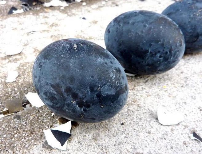 日本火山口煮出来的黑鸡蛋，6元钱1一个，还超受欢迎!