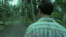 这是张国荣第一次，也是唯一一次得奖，但你却不一定了解这部电影