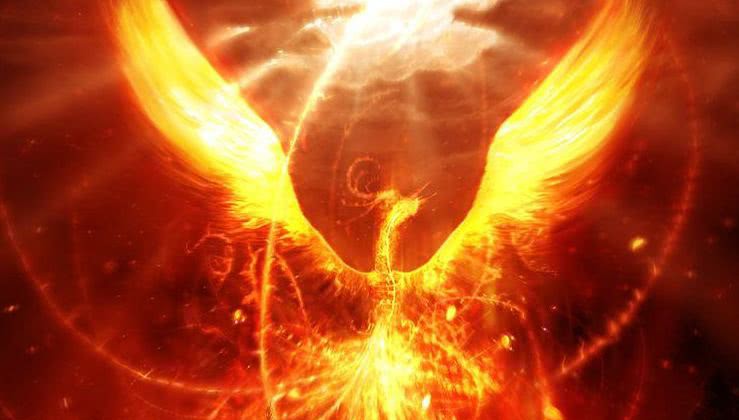 农村俗语“竹子开花,农民搬家”,没成想却跟神兽凤凰有关!