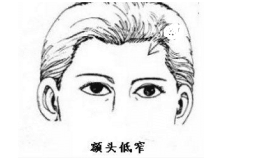 额头在面相中,代表的是一个人的早年运势与财运等,若是额头低窄,则