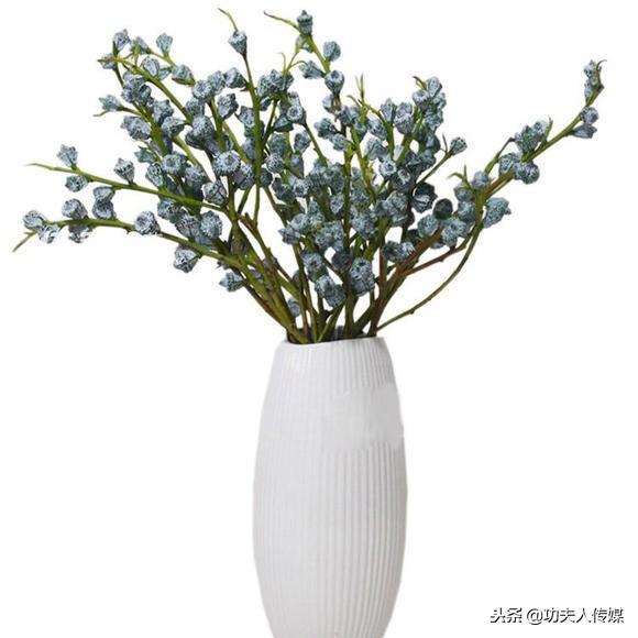 买过尤加利叶做鲜花配叶,见过云南鲜花基地的尤加利果没?别out