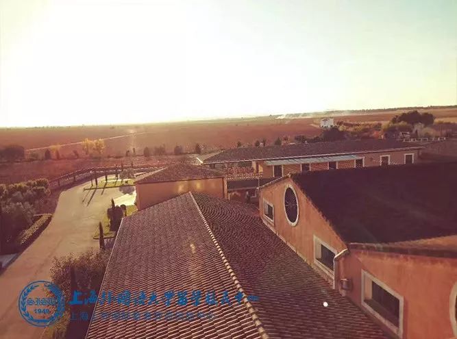 醇香岁月,我在西班牙学葡萄酒专业