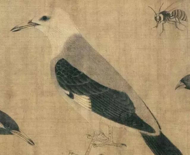 黄筌《写生珍禽图卷》，惟妙惟肖