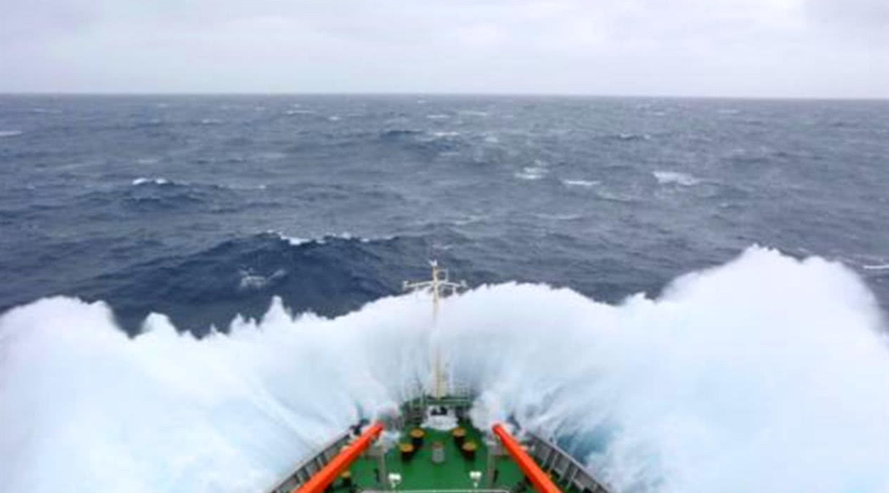 寸步不让！普京拒绝转让北方四岛，安倍：谈不妥，3日可夺下岛屿