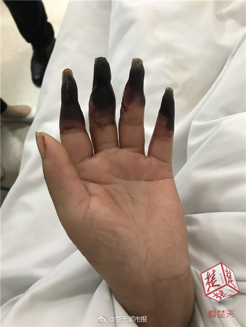 杨长德《大屯野鹤文集》首发式举行