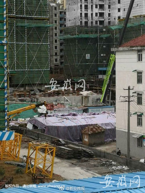 甘肃肃南发现5处岩画 文物局正在核实具体信息