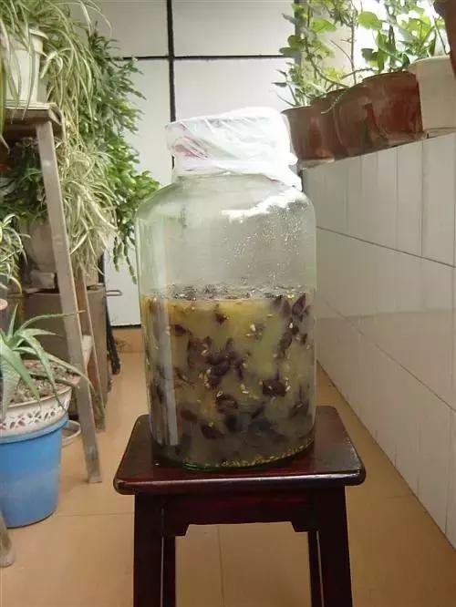 自酿葡萄酒中毒原因 喝自酿葡萄酒安全吗