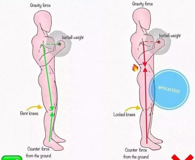 所有弯举动作都要保持手腕笔直。