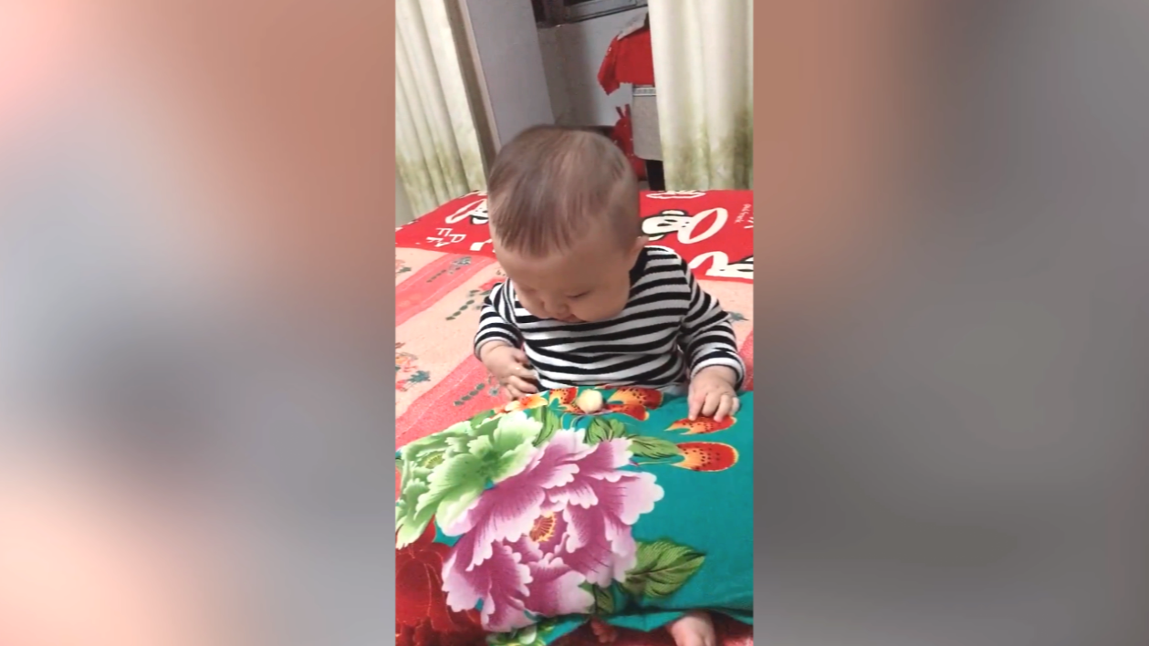 萌娃抱着枕头吃东西,脸蛋肉嘟嘟的,网友:吃相越