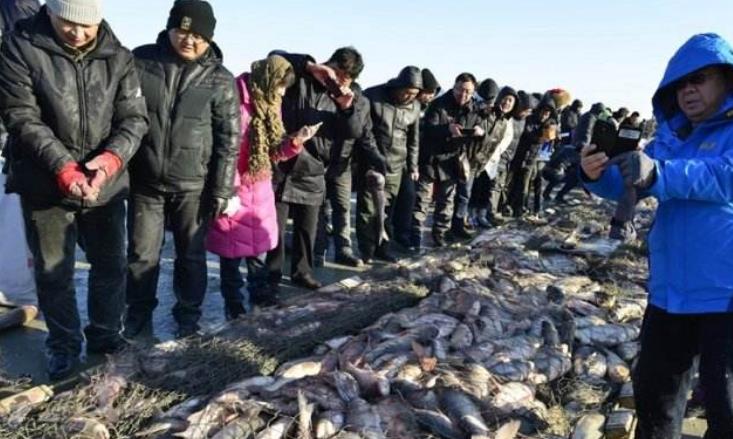 查干湖每年都会捕鱼,2019年的故事