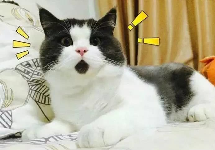 这才是一部真正的《都挺好》吧！