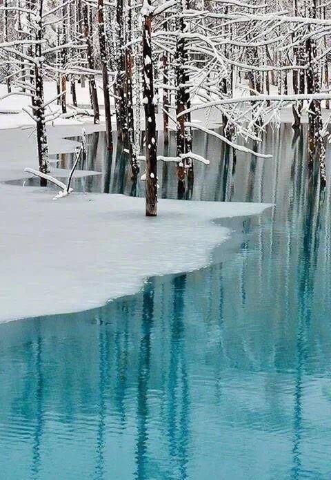 下雪后瑞士蓝湖，美如仙境