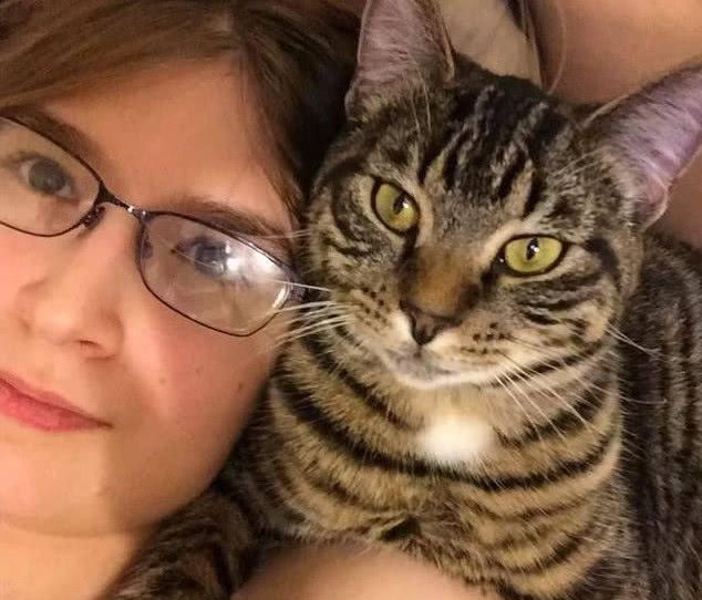 “土猫”在美国受追捧，秒变高级网红猫，网友:让全世界吸中国猫