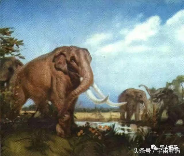 罕见考古照片：发现生活于300万年前古象化石，体型高大惊人