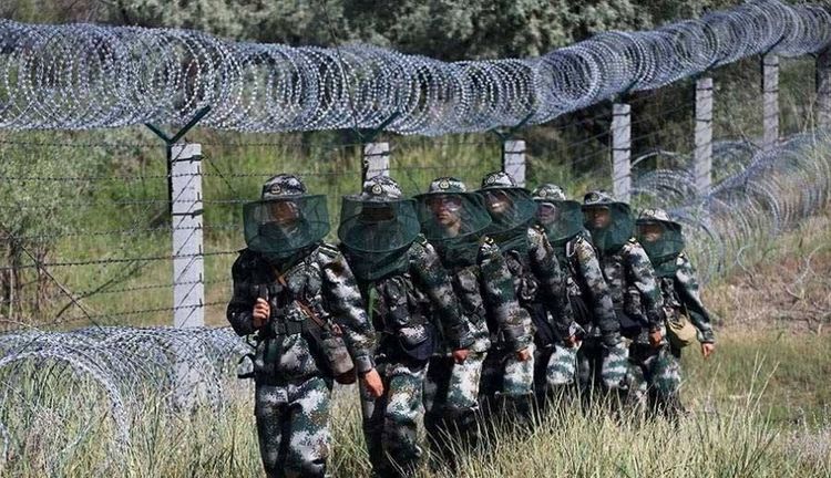 中国北湾四大蚊虫王国 新疆北湾为何蚊子这么多