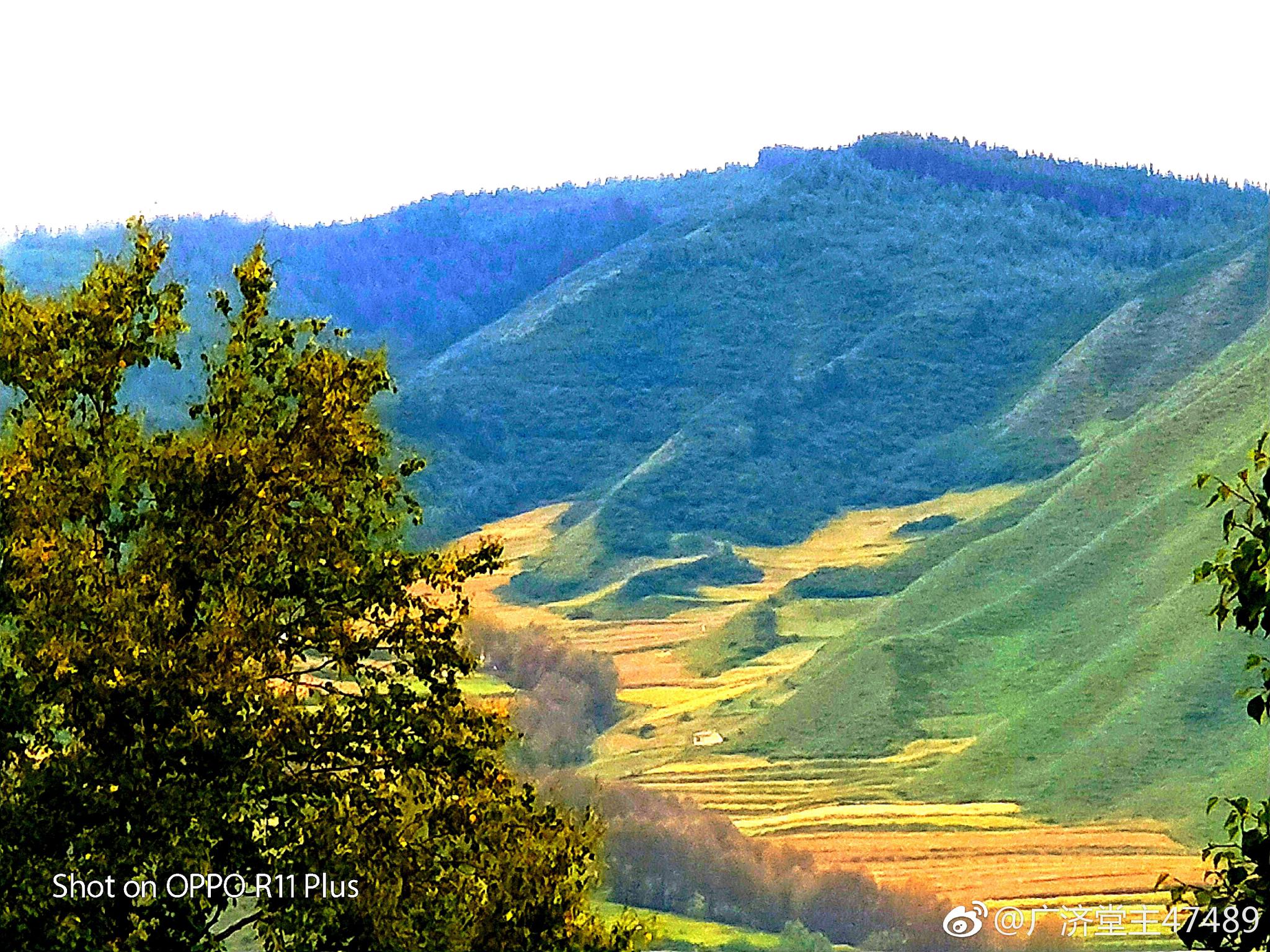 那隆如寺的秋色