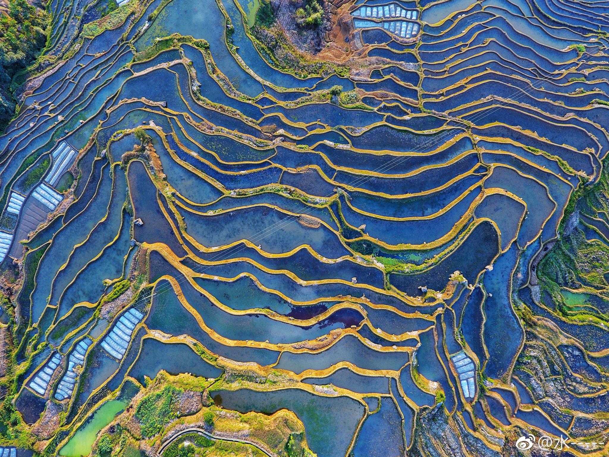 上帝的調(diào)色板