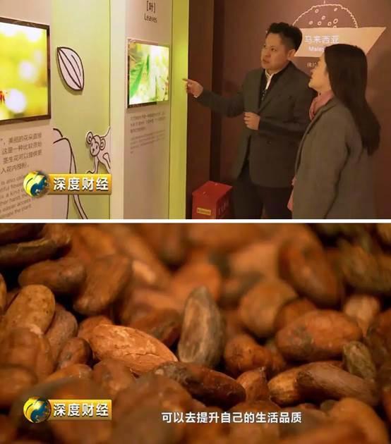 现实版的巧克力工厂长这样!不光好吃、好玩、好看还赚钱!