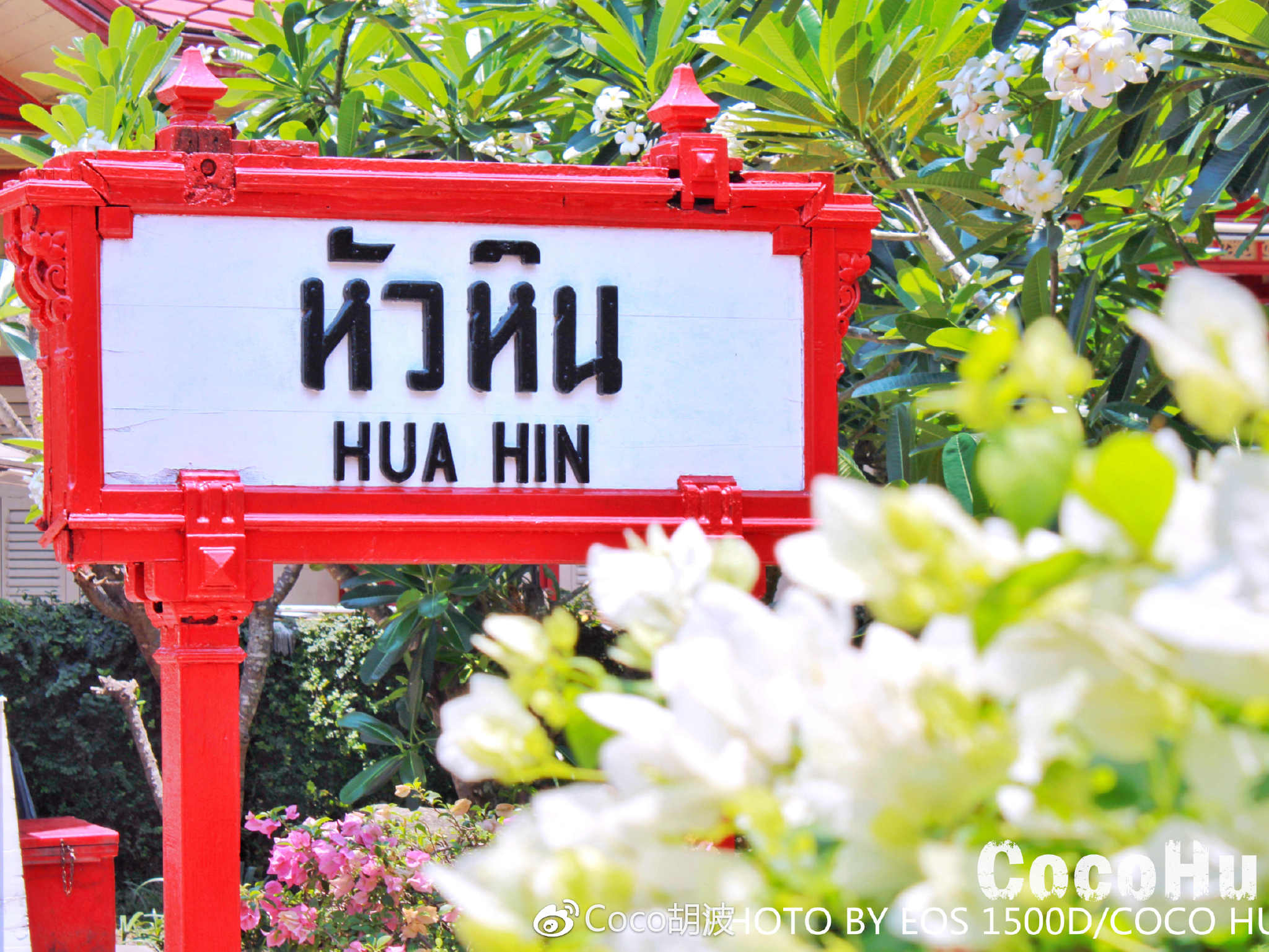 泰清新 文藝小城華欣的浪漫與柔情