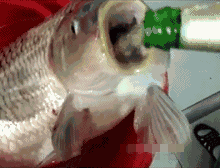 我.你个小吃货!