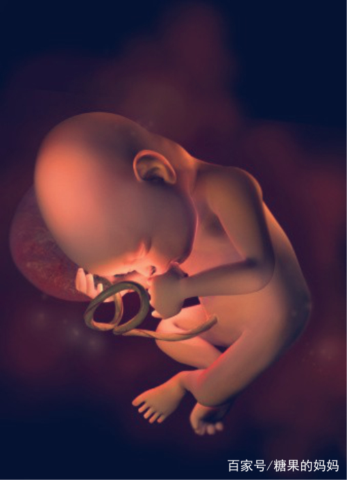 十张图带你看看,孕期最后十周,胎儿在孕妈肚子