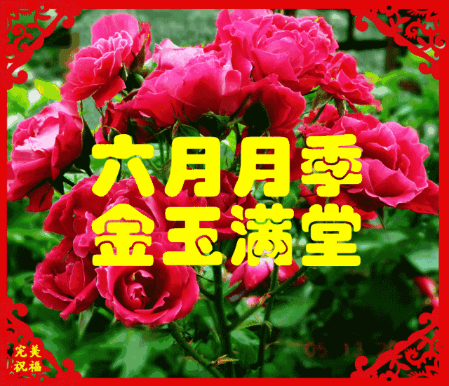 早上好:明日元旦,最美祝福提前送给群友们,祝大家元旦