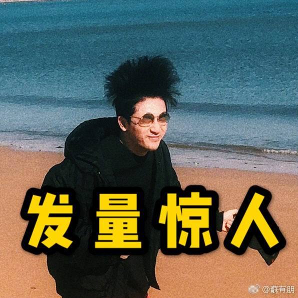 苏有朋晒海边帅照，发量让人羡慕，穿着却是陈志朋的画风