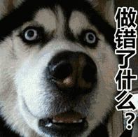 输在气势,赢在表情 10.二哈回头,日子到头,不是拆家,就是拆楼! 11.